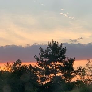 Meet your Posher, Alicia